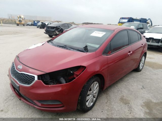 KNAFX4A67E5233591 KIA FORTE LX