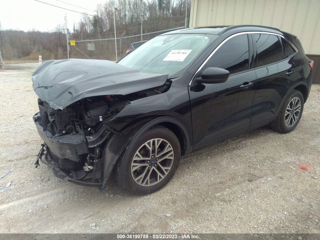 Ford ESCAPE SEL 2020 1FMCU9H69LUA51455 Image 2