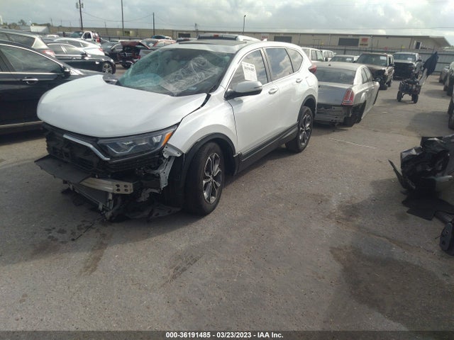 Honda CR-V EX 2020 7FARW1H56LE020002 Image 2