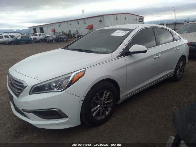 Hyundai Sonata 2.4l 2016 5NPE24AF0GH400714 Image 2