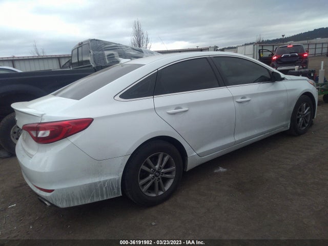Hyundai Sonata 2.4l 2016 5NPE24AF0GH400714 Image 5
