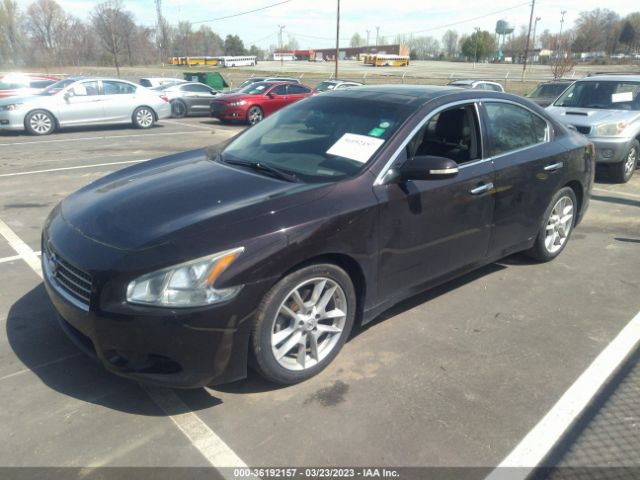 1N4AA5AP1AC869836 Nissan Maxima 3.5 Sv W/premium Pkg