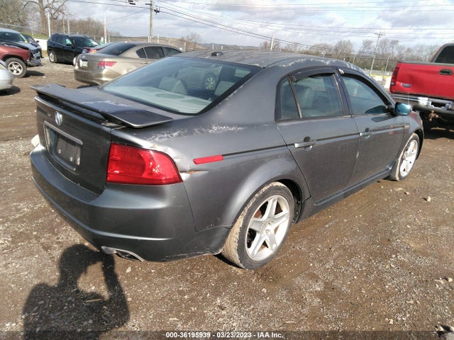 2004 ACURA TL VIN: 19UUA66244A072489