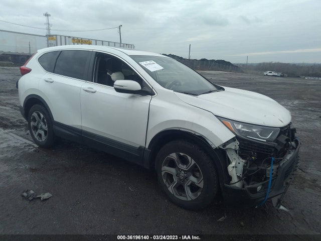 2019 JHLRW2H54KX007127 main image
