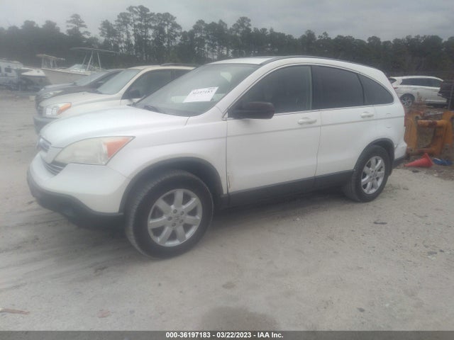 2009 HONDA CR-V EX-L VIN: JHLRE38759C006404