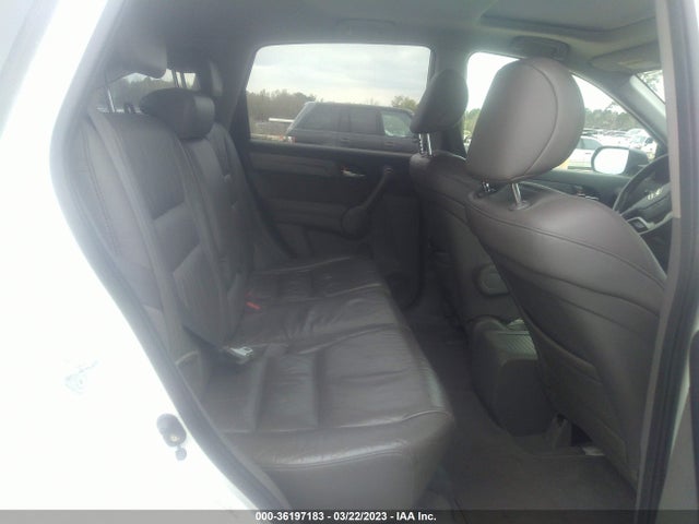 2009 HONDA CR-V EX-L VIN: JHLRE38759C006404