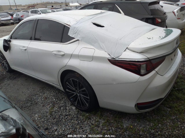 58ADA1C19NU024245 Lexus Es Es 300h