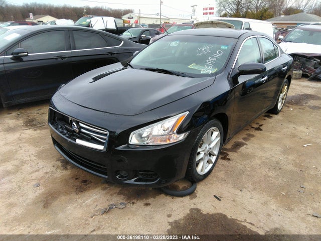 Nissan Maxima 3.5 S/3.5 Sv 2014 1N4AA5APXEC489660 Image 2