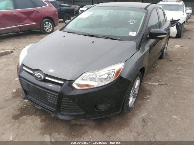 Ford FOCUS SE 2014 1FADP3F23EL178441 Image 7