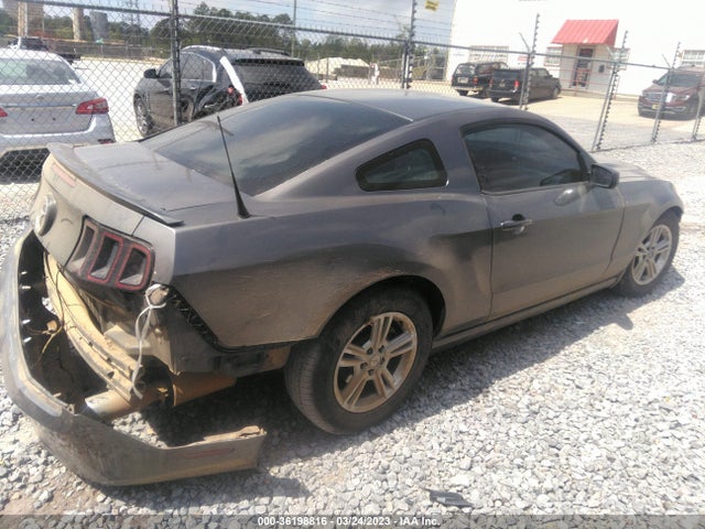2013 FORD MUSTANG V6 VIN: 1ZVBP8AM1D5265441