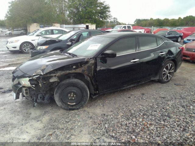 1N4AA6AP5GC443453 Nissan Maxima 3.5 S