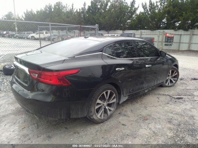 1N4AA6AP5GC443453 Nissan Maxima 3.5 S