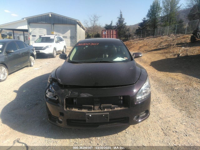 2010 NISSAN MAXIMA 3.5 SV VIN: 1N4AA5AP6AC845175