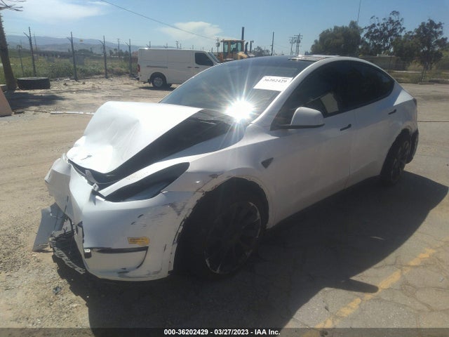 Tesla Model Y Long Range 2020 5YJYGDEE0LF034245 Image 2