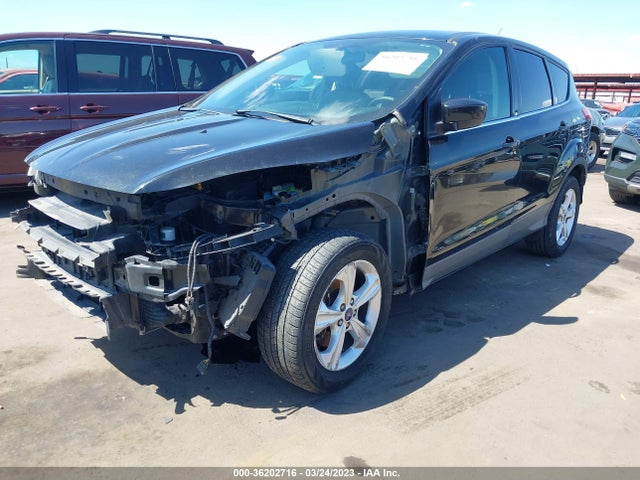 Ford ESCAPE SE 2014 1FMCU0G99EUA55290 Image 2