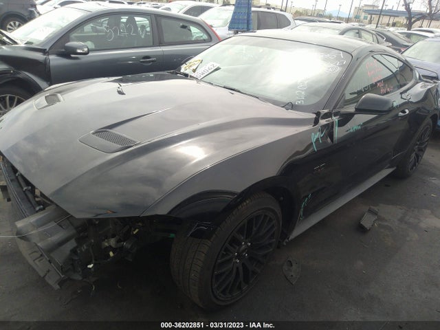 2019 FORD MUSTANG GT VIN: 1FA6P8CFXK5169703