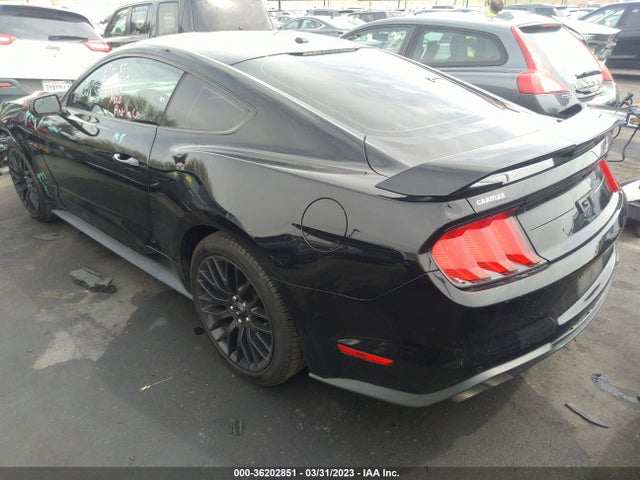Ford MUSTANG GT 2019 1FA6P8CFXK5169703 Image 3