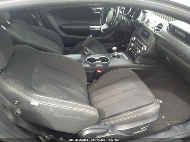 Ford MUSTANG GT 2019 1FA6P8CFXK5169703 Image 5