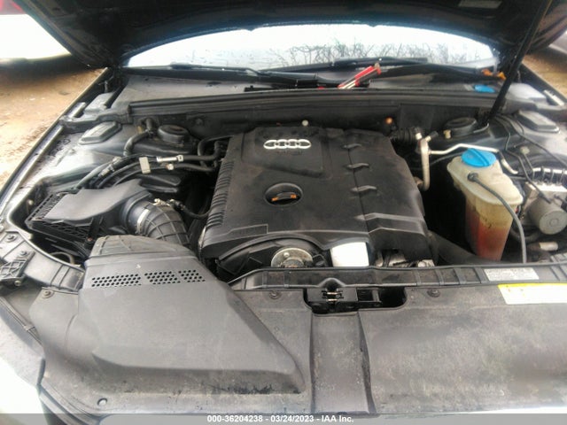 WAUBFAFL8AN056901 Audi A4 2.0t Premium