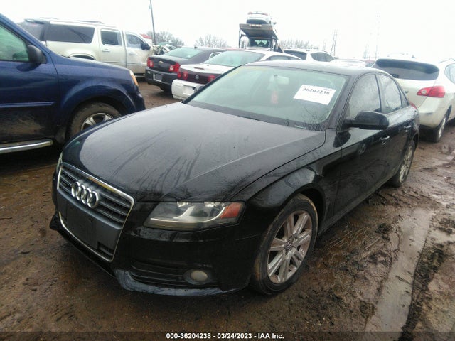 WAUBFAFL8AN056901 Audi A4 2.0t Premium