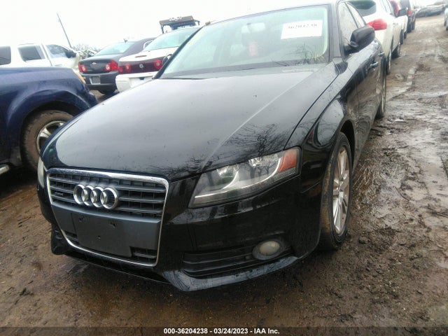 WAUBFAFL8AN056901 Audi A4 2.0t Premium