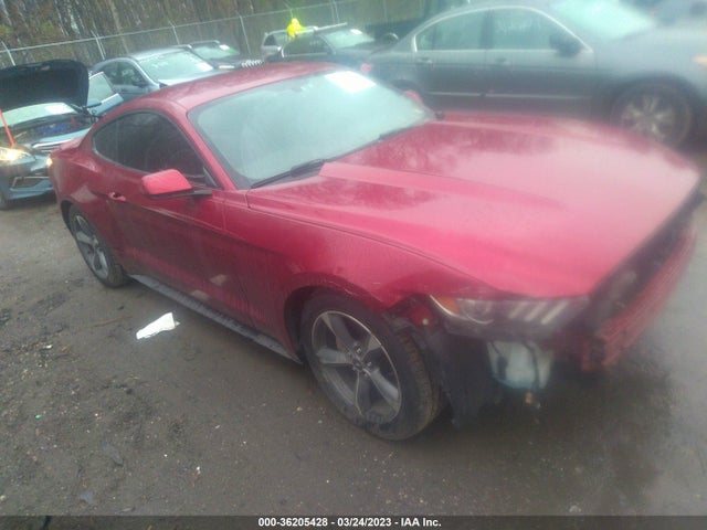 2015 Ford Fastback, VIN: 1FA6P8AM6F5337358