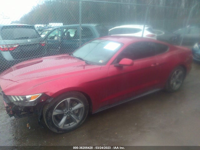 2015 Ford Fastback, VIN: 1FA6P8AM6F5337358