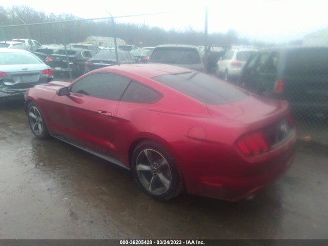 2015 Ford Fastback, VIN: 1FA6P8AM6F5337358