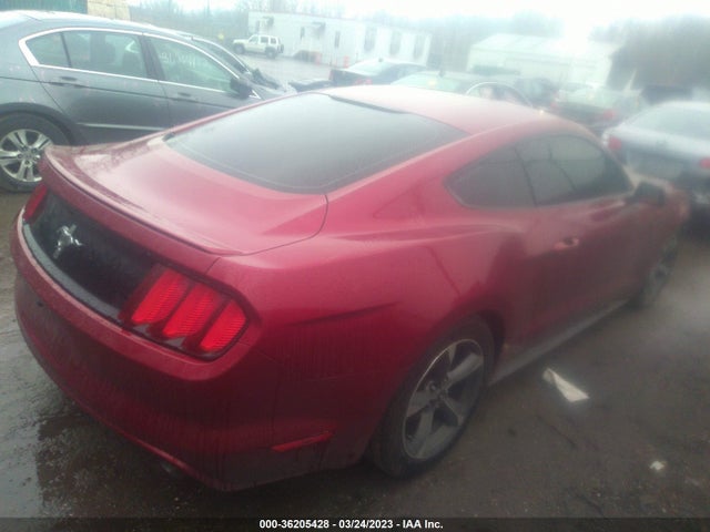 2015 Ford Fastback, VIN: 1FA6P8AM6F5337358