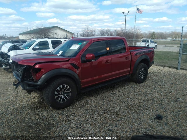 Ford F-150 Raptor 2020 1FTFW1RG9LFA11210 Image 2