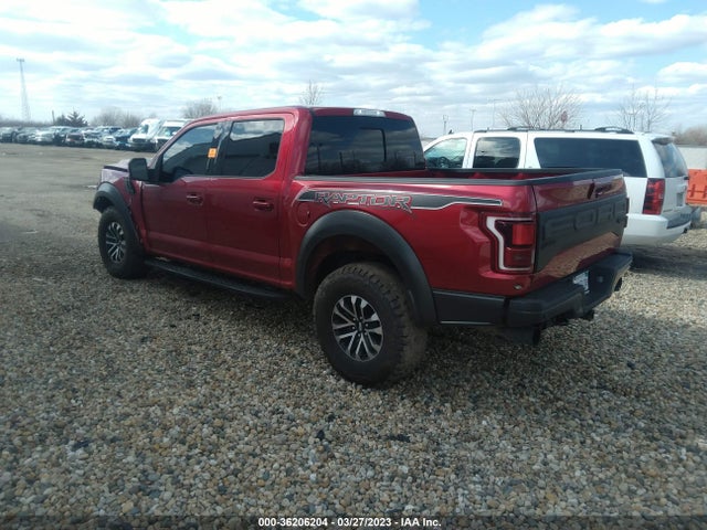 Ford F-150 Raptor 2020 1FTFW1RG9LFA11210 Image 5