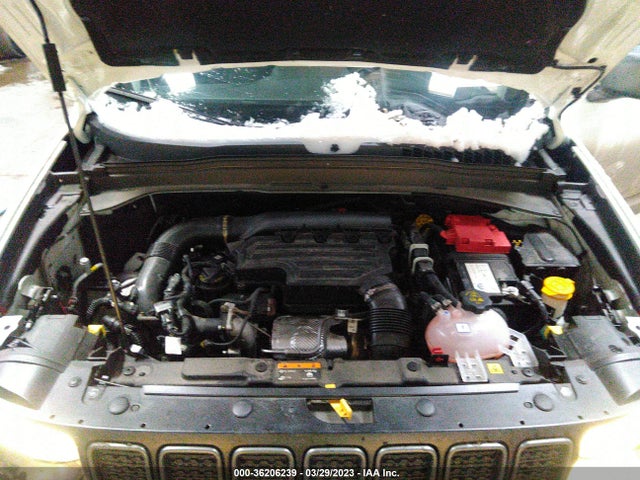 ZACNJBC10LPL76499 Jeep Renegade Trailhawk