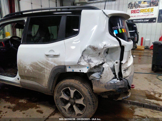 ZACNJBC10LPL76499 Jeep Renegade Trailhawk