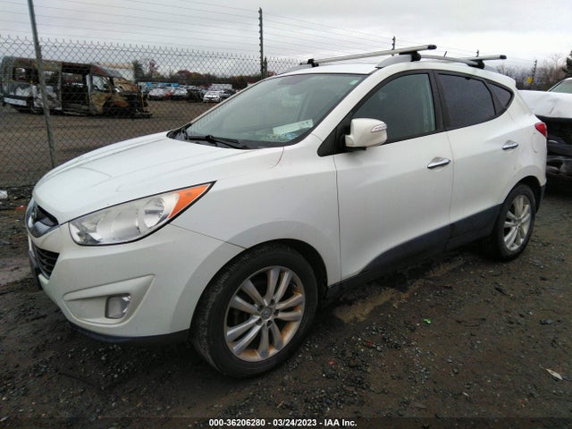 2011 HYUNDAI TUCSON LIMITED VIN: KM8JUCAC7BU248594