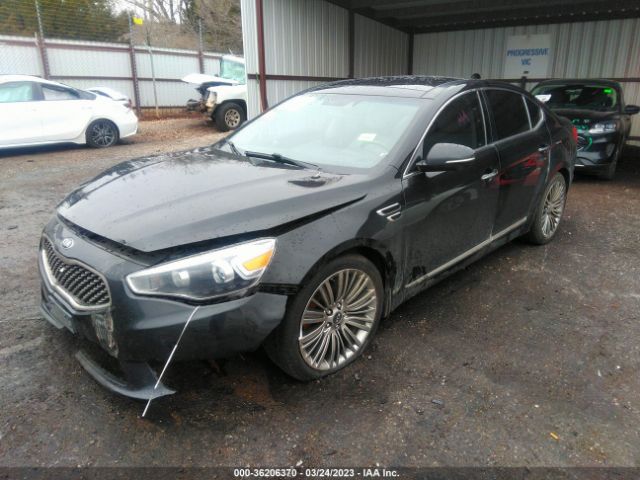 KNALN4D73F5191015 KIA Cadenza Limited