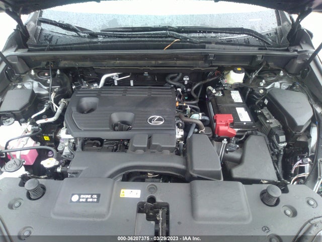 2022 Lexus NX, VIN: 2T2ADCEZ8NC001892