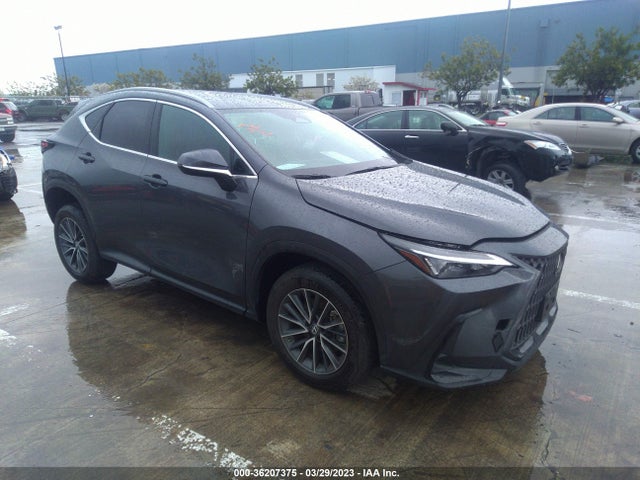 2022 Lexus NX, VIN: 2T2ADCEZ8NC001892