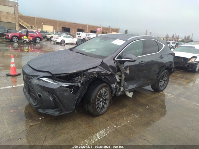 2022 Lexus NX, VIN: 2T2ADCEZ8NC001892