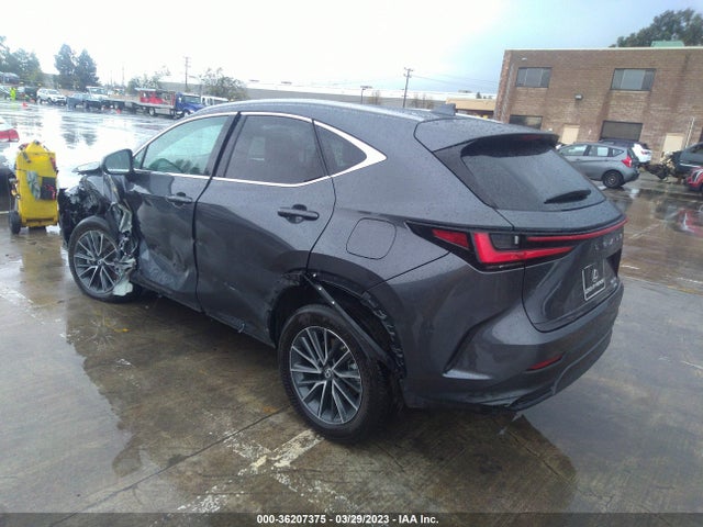 2022 Lexus NX, VIN: 2T2ADCEZ8NC001892