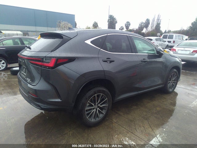 2022 Lexus NX, VIN: 2T2ADCEZ8NC001892