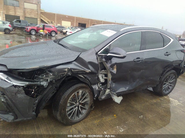 2022 Lexus NX, VIN: 2T2ADCEZ8NC001892
