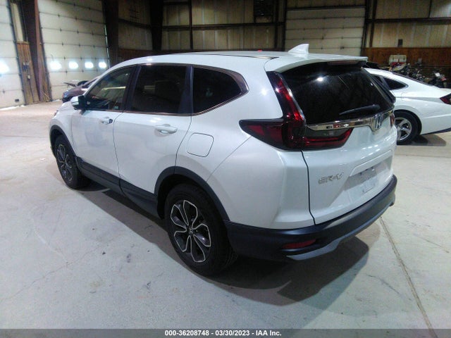 Honda Cr-v Ex-l 2020 2HKRW2H82LH669678 Image 3