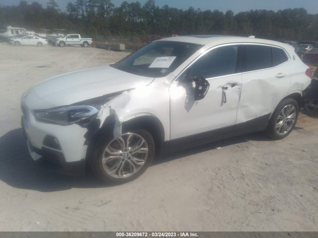 2019 BMW X2, VIN: WBXYJ3C59K5N60844