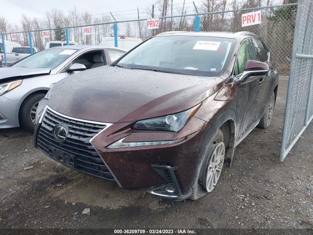 2019 Lexus NX, VIN: JTJBARBZ1K2207510
