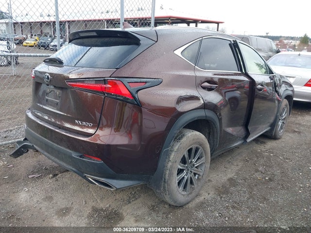 2019 Lexus NX, VIN: JTJBARBZ1K2207510