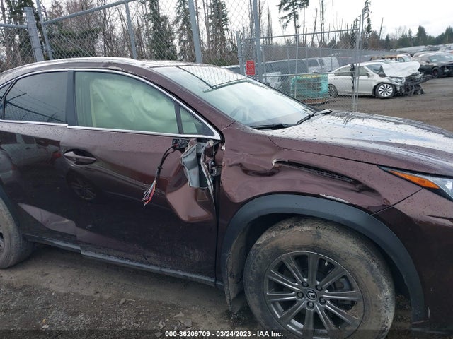 2019 Lexus NX, VIN: JTJBARBZ1K2207510
