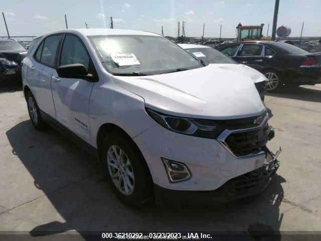 Chevrolet EQUINOX LS 2019 3GNAXHEV9KL120864 Image 1