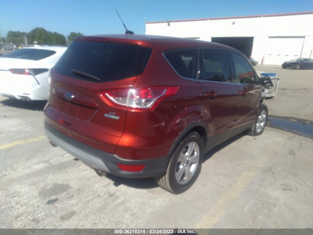 Ford ESCAPE SE 2014 1FMCU0GX5EUD56377 Image 4