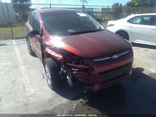 Ford ESCAPE SE 2014 1FMCU0GX5EUD56377 Image 6