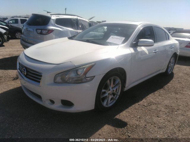 1N4AA5AP1EC456868 Nissan MAXIMA 3.5